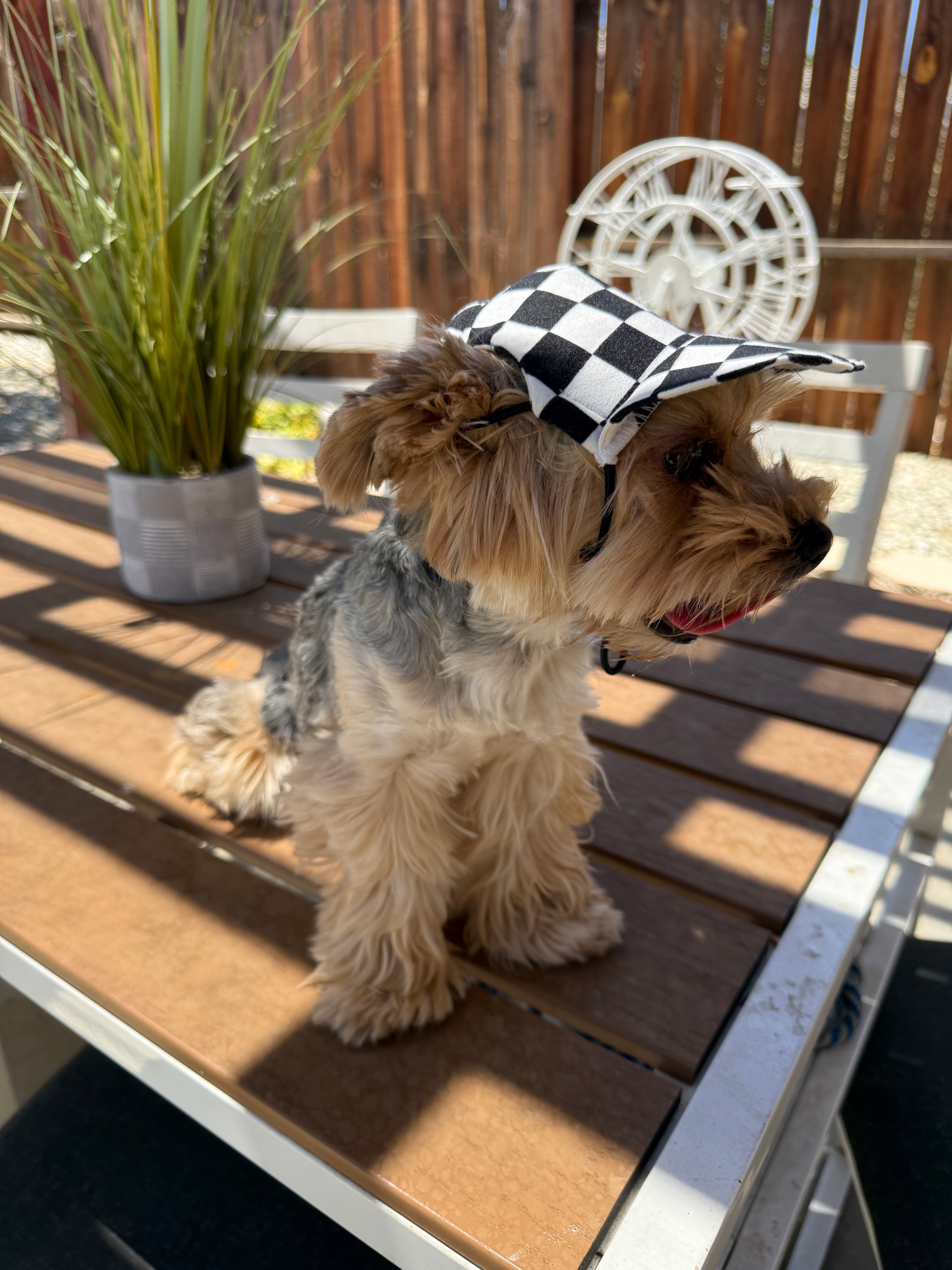 Hats