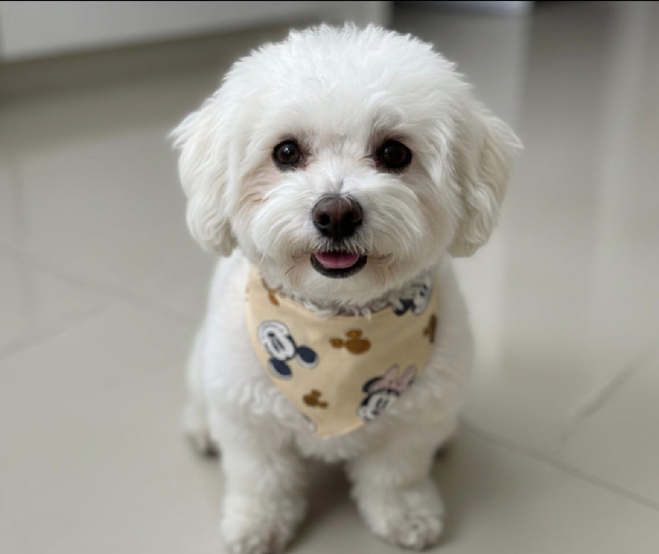 Bandanas