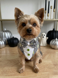 Beetlejuice Bandana