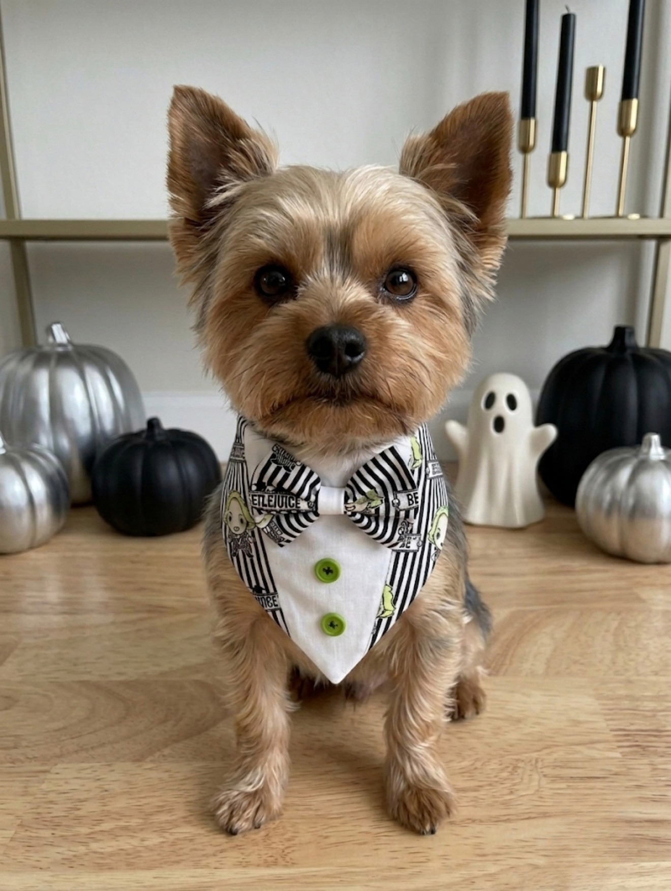Beetlejuice Bandana