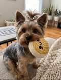Pan Dulce Toys